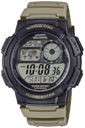 CASIO AE-1000W-5AV