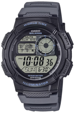 CASIO AE-1000W-8AV