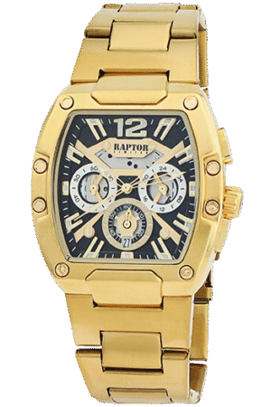 RAPTOR RA20398-005